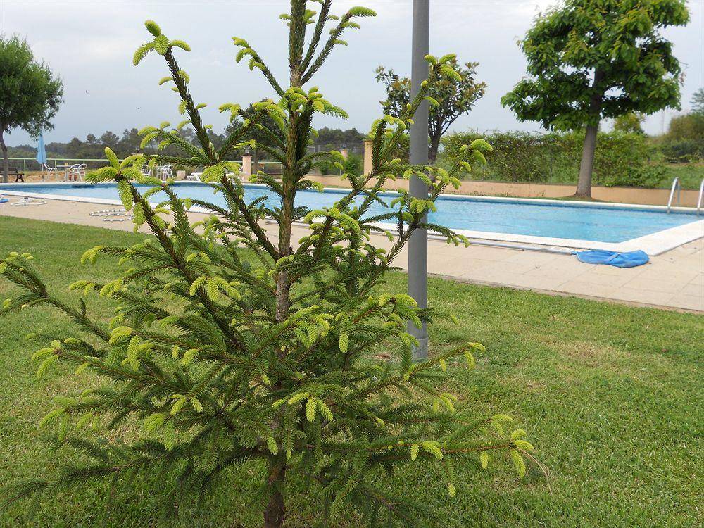 Hotel Sausa Vilafreser Exterior photo
